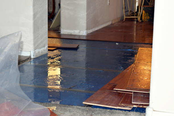 Professional Water Damage Restoration technician working in Five Points, OH